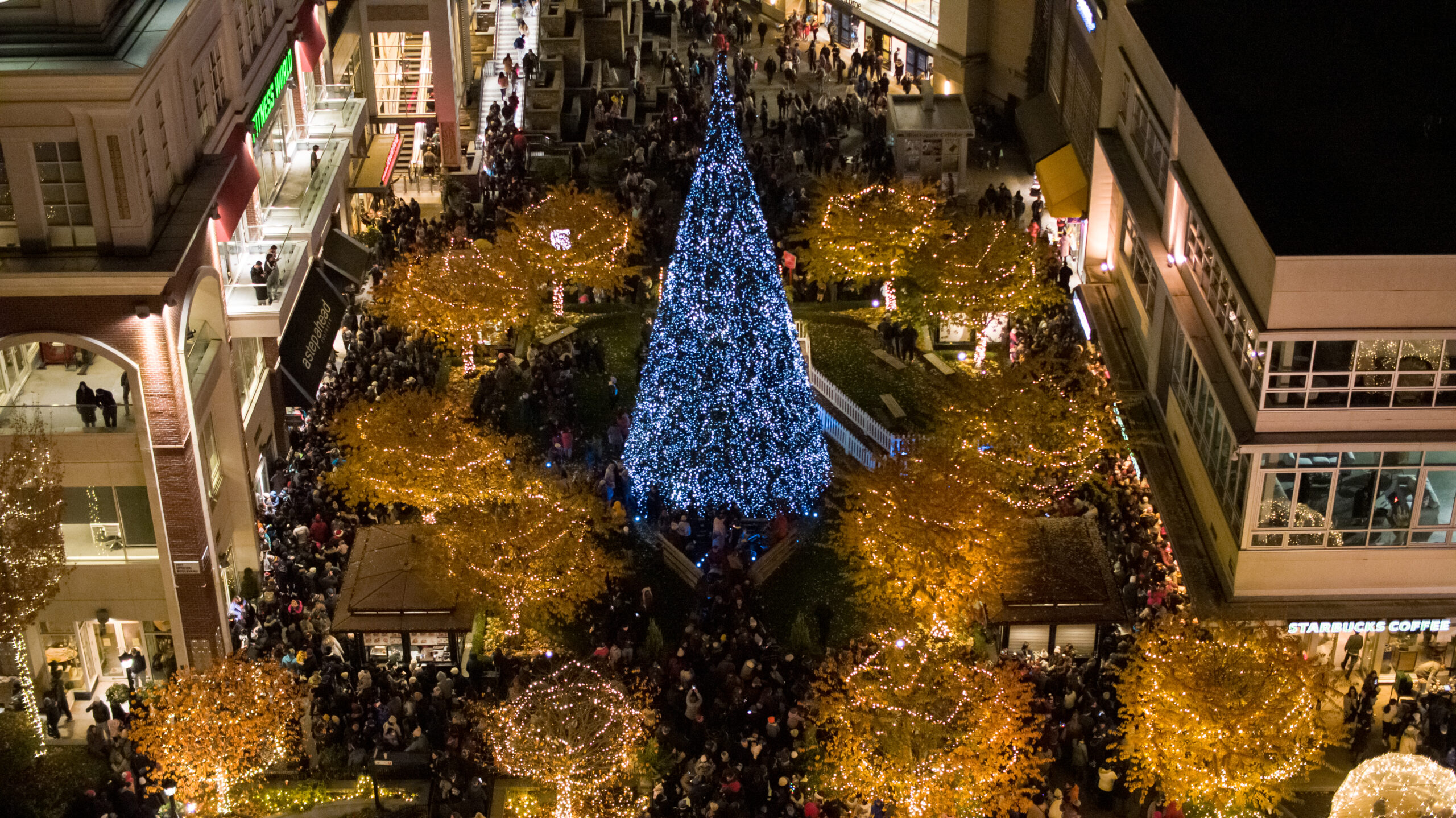 tree-light-up-aerial-005