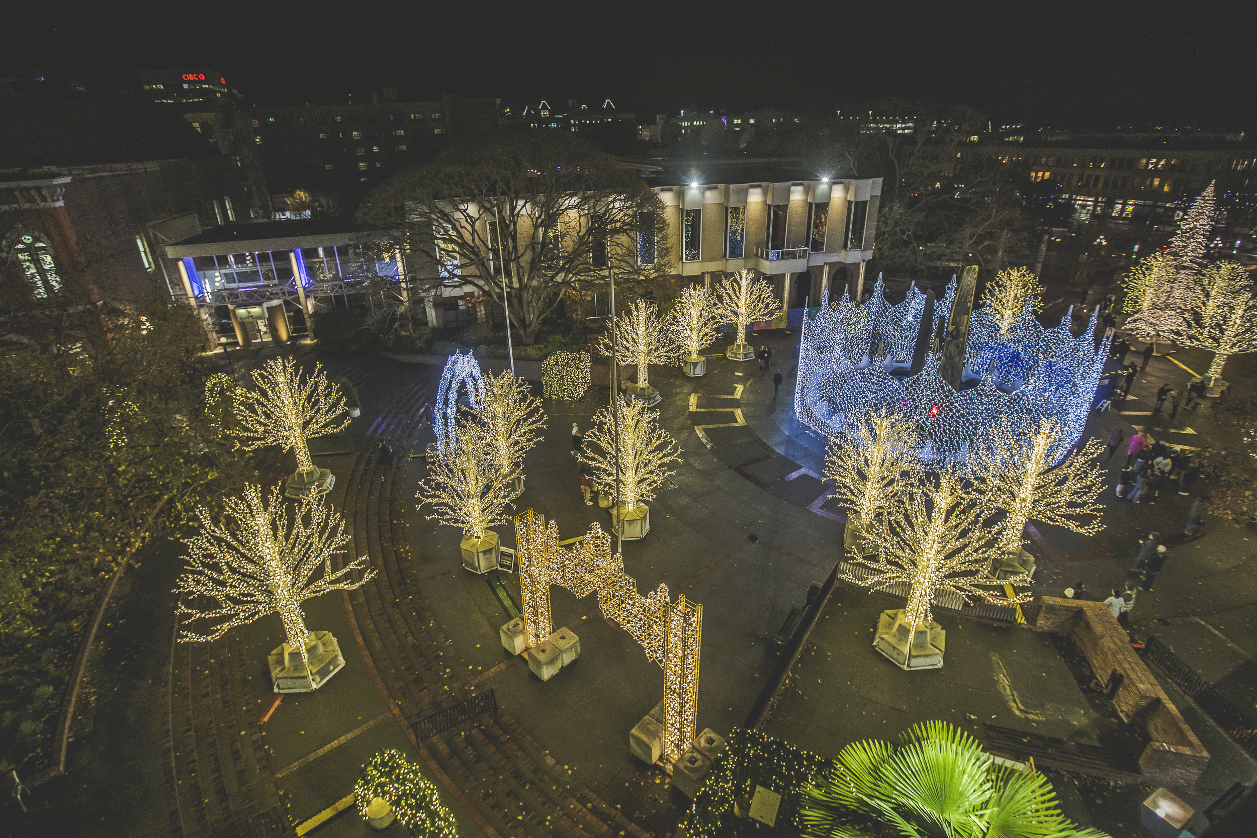 Vancouver Island’s beloved Lights of Wonder returns to downtown Victoria