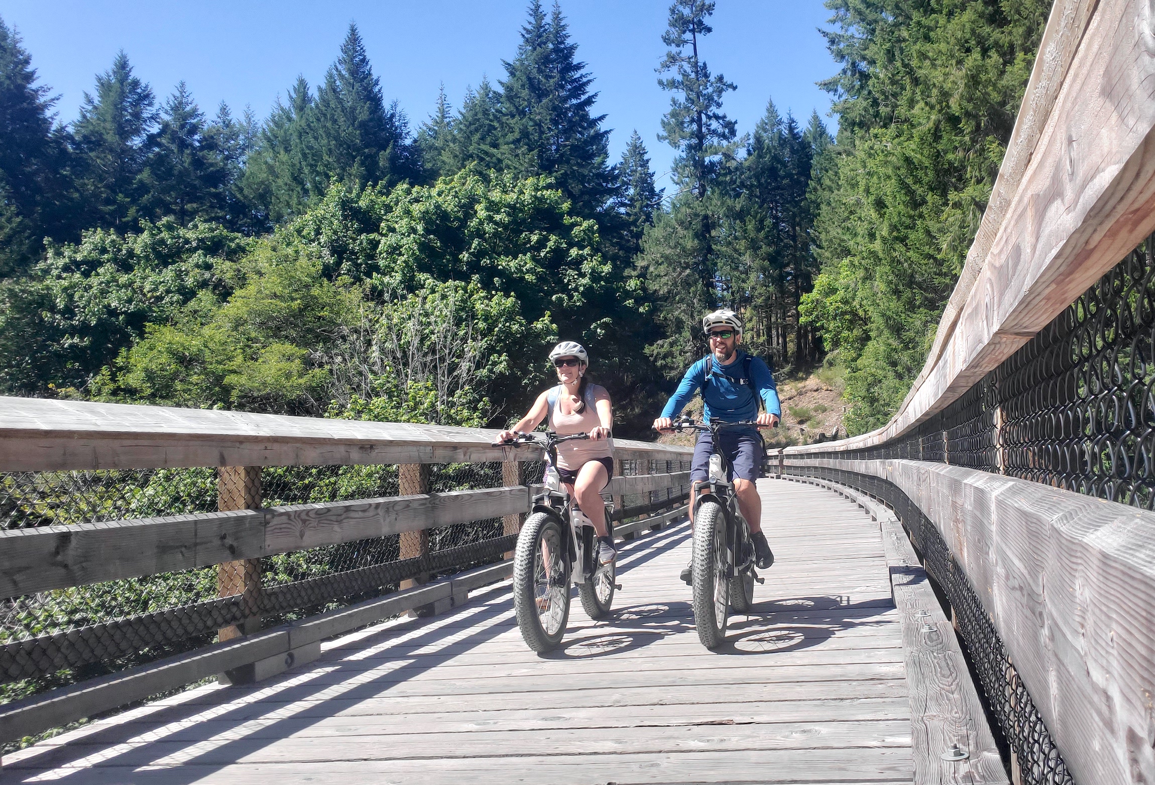 electric-alpine-biking-trestle-riders