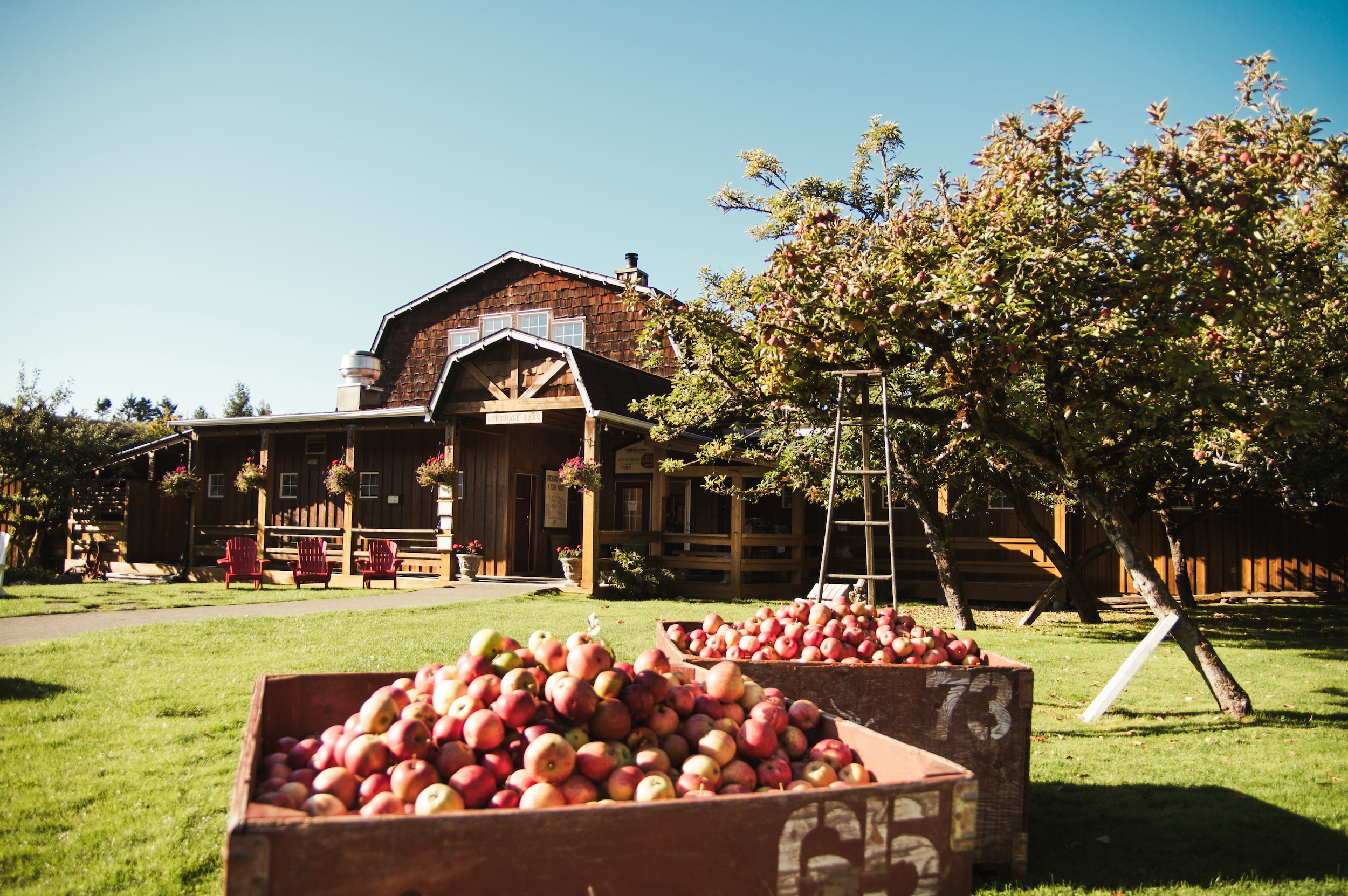 apple-boxes-merridale-cidery-distillery
