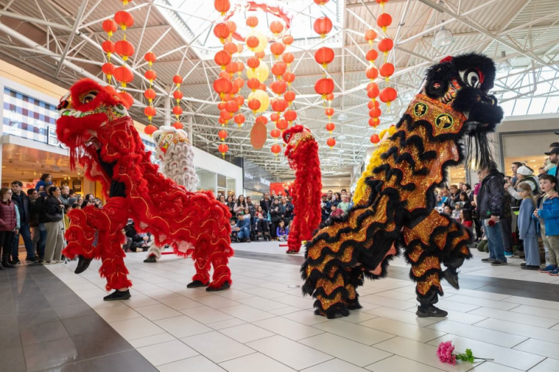 Free Lunar New Year celebrations are happening at Mayfair this Saturday